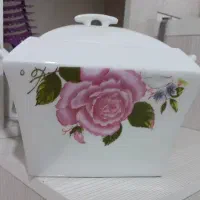 ظرف چینی