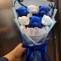 بوکت عروسکی اماده|اسباب‌‌بازی|کرمانشاه, |دیوار