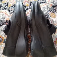 کفش|کیف، کفش، کمربند|سنندج, |دیوار