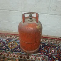 پیک. نیک. دوقلو