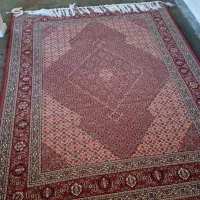 فرش ماهی ۵۰ رج