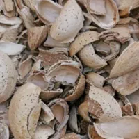 خرید و فروش پوست بادام چوبی