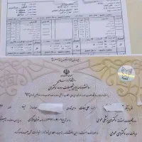 ارتقاء شغلی با مدرک معتبر|خدمات آموزشی|بوشهر, |دیوار