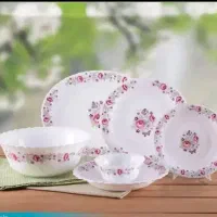 ارکوپال ۲۴