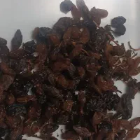 کشمش|خوردنی و آشامیدنی|نیشابور, گنبد سبز|دیوار