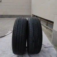 لاستیک ۸۰ درصد