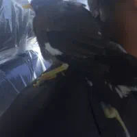 جوجه میناسخنگو