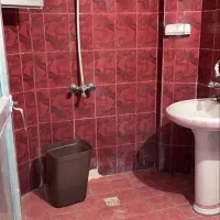 اجاره آپارتمان|اجارهٔ آپارتمان|کرمان, |دیوار