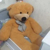 خرس بزرگ۲متری سالم