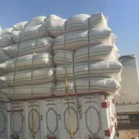 کاه دیم کردستان