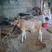 همه آگهی ها