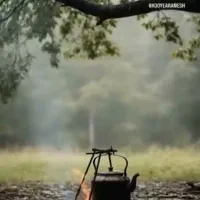 مشاوره و راهنمایی