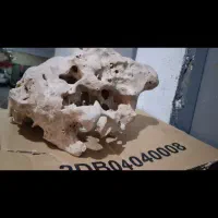 تزیینات آکواریم|ماهی|پاکدشت, پاکدشت (مامازند)|دیوار