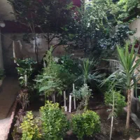 رهن ویلای  ۹۰ متری بازسازی‌شده در کیاشهر (تخلیه)