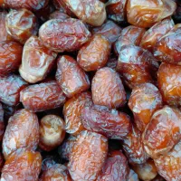 خرما و قصب دشتستان بخش پشتکوه|خوردنی و آشامیدنی|جاسک, |دیوار