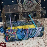 قفس|لوازم جانبی حیوانات|دلیجان, |دیوار