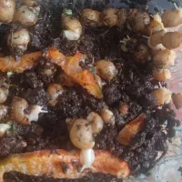 حلزون|خزنده|پرند, فاز ۶|دیوار