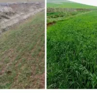 کودهای ارگانیک کروا