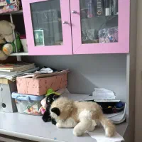 فروش سرویس خواب جوانان دخترانه