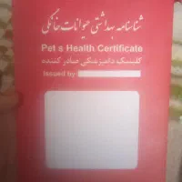 زرنگ|سگ|کرمانشاه, |دیوار