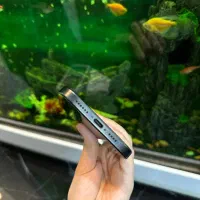 ۱۶ پرومکس ۲۵۶ zaa|موبایل|تهران, امامت|دیوار