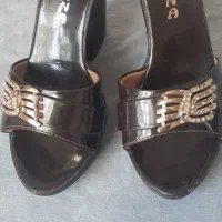 کفش مجلسی