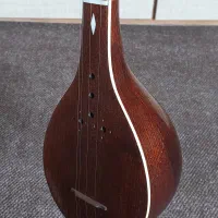 سه تار الگوی هاشمی مهر فرضیان