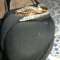 کفش درحدنو|کیف، کفش، کمربند|ارومیه, |دیوار