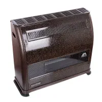 بخاری آدنیس