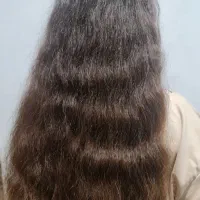 فروش موی طبیعی بدون رنگ و حنا و موخوره|آرایشی، بهداشتی، درمانی|تهران, تهرانسر مرکزی|دیوار