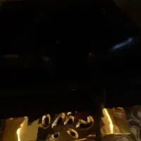 پی اس۴ کپی خور
