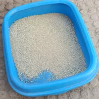 کلیه لوازم گربه با تخفیف