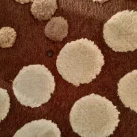 گلیم فرش|گلیم، جاجیم، گبه|خمینیشهر, |دیوار