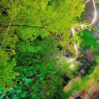 سوییت-باغ-سالیانه-ماهانه-روزانه-سپیدان