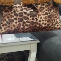 کیف
