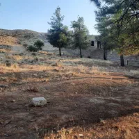 باغشهر بهارستان قدیم