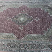 فرش ۱۲متری نو|فرش|شیراز, جانبازان|دیوار