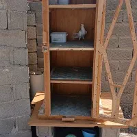 جفتگاه کبوتر|لوازم جانبی حیوانات|گنبد کاووس, |دیوار