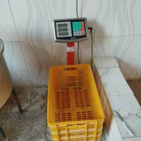 وسایل مرغ فروشی