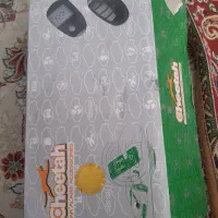 دزد گیر نو