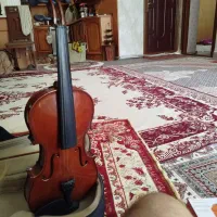 فروش ویلون|ویولن|اردبیل, |دیوار