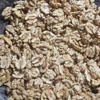 فروش مغز گردو تویسرکان