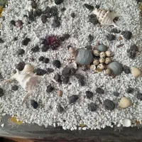 سنگ آکواریوم