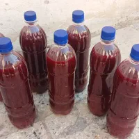 آب زرشک طبیعی خالص برای کوههای شمال داماش