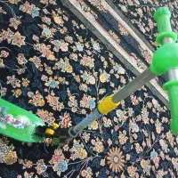 اسکوتر نو|دوچرخه، اسکیت، اسکوتر|تاکستان, |دیوار