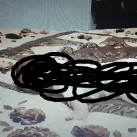 روتختی دونفره|سرویس روتختی|قائن, |دیوار