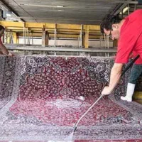 کارگر قالیشویی