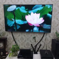 تلوزیون تی سی ال ۵۵اینچ