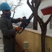 باغبانی سمپاشی کوددهی محلولپاشی نهال رودهن پردیس|خدمات باغبانی و درختکاری|رودهن, |دیوار