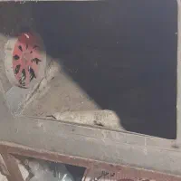 منقل ذغال فن دار   اصلی|اجاق گاز و لوازم برقی پخت‌وپز|رشت, کوی عرفان|دیوار